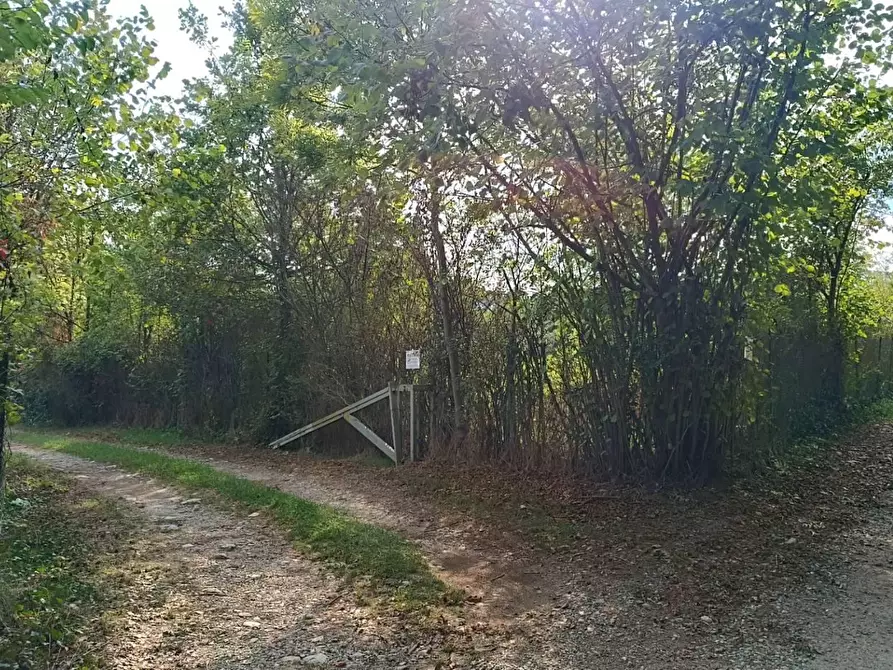 Immagine 21 di Terreno agricolo in vendita  in ALTRO pralungo a La Cassa