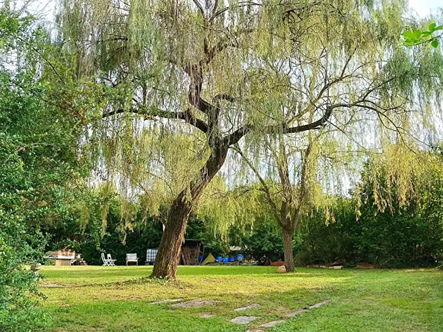 Immagine 4 di Terreno agricolo in vendita  in ALTRO pralungo a La Cassa