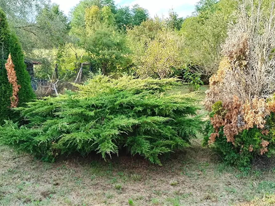 Immagine 7 di Terreno agricolo in vendita  in ALTRO pralungo a La Cassa