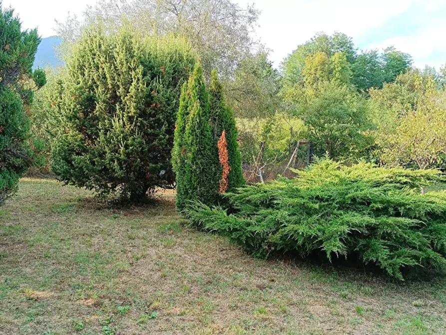 Immagine 8 di Terreno agricolo in vendita  in ALTRO pralungo a La Cassa