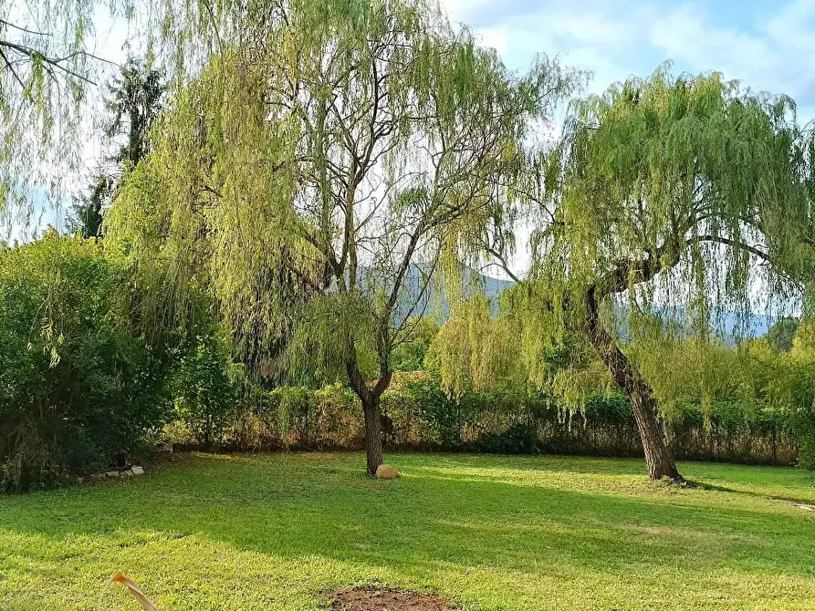 Immagine 2 di Terreno agricolo in vendita  in ALTRO pralungo a La Cassa