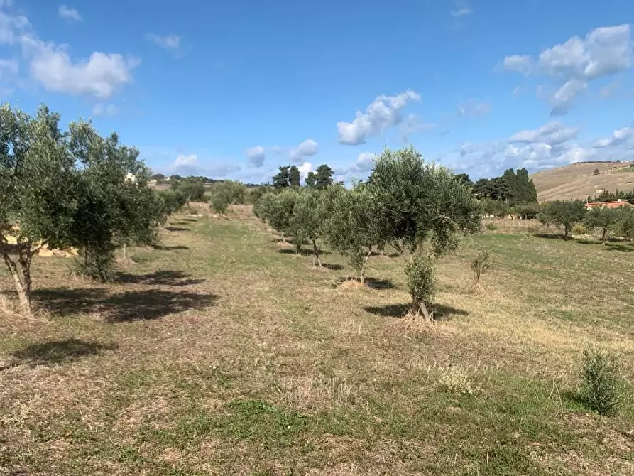 Immagine 10 di Casa indipendente in vendita  in VIA soria 110 a Valderice