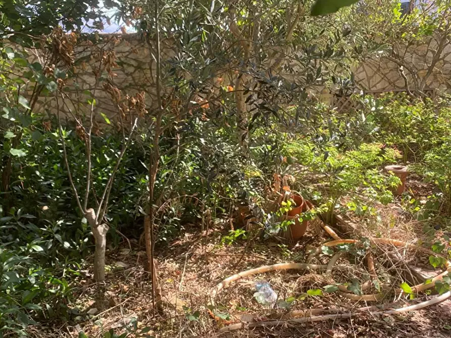 Immagine 11 di Casa indipendente in vendita  in VIA soria 110 a Valderice