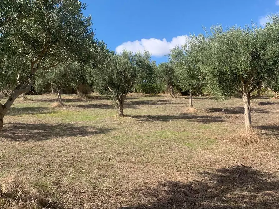 Immagine 12 di Casa indipendente in vendita  in VIA soria 110 a Valderice