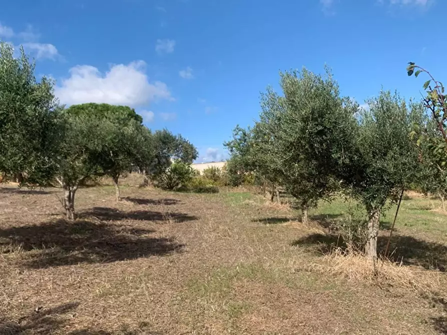 Immagine 16 di Casa indipendente in vendita  in VIA soria 110 a Valderice