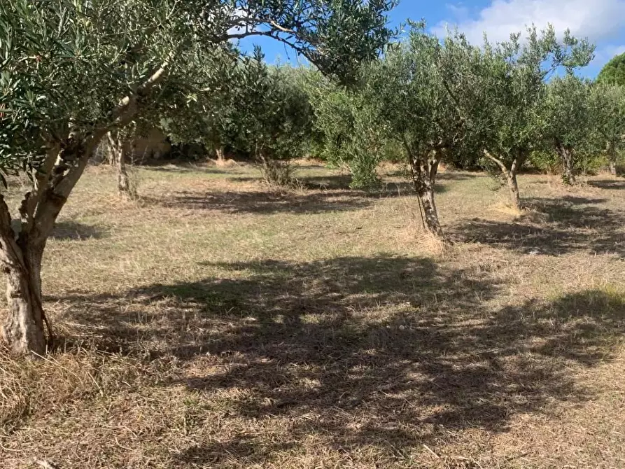 Immagine 18 di Casa indipendente in vendita  in VIA soria 110 a Valderice