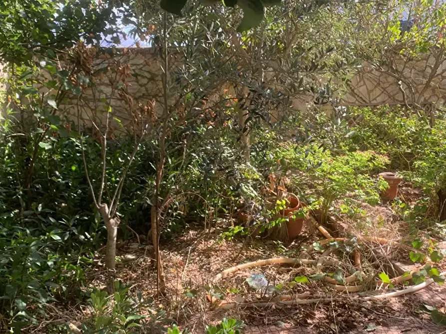 Immagine 20 di Casa indipendente in vendita  in VIA soria 110 a Valderice