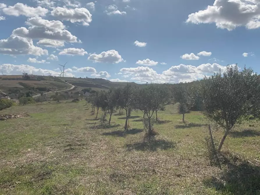 Immagine 3 di Casa indipendente in vendita  in VIA soria 110 a Valderice