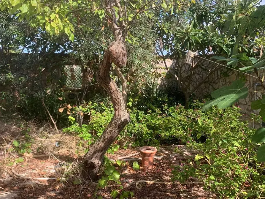 Immagine 30 di Casa indipendente in vendita  in VIA soria 110 a Valderice