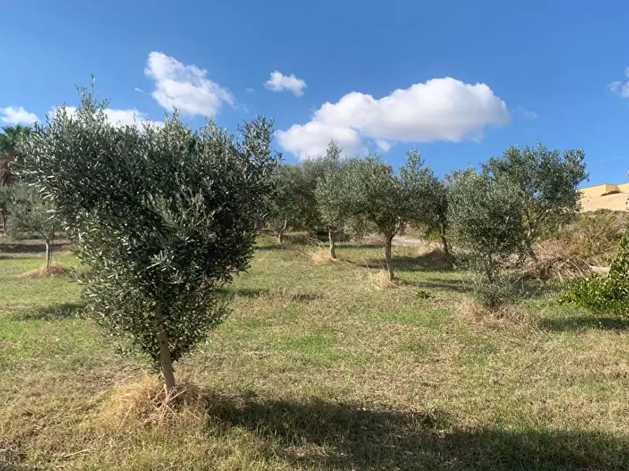 Immagine 4 di Casa indipendente in vendita  in VIA soria 110 a Valderice