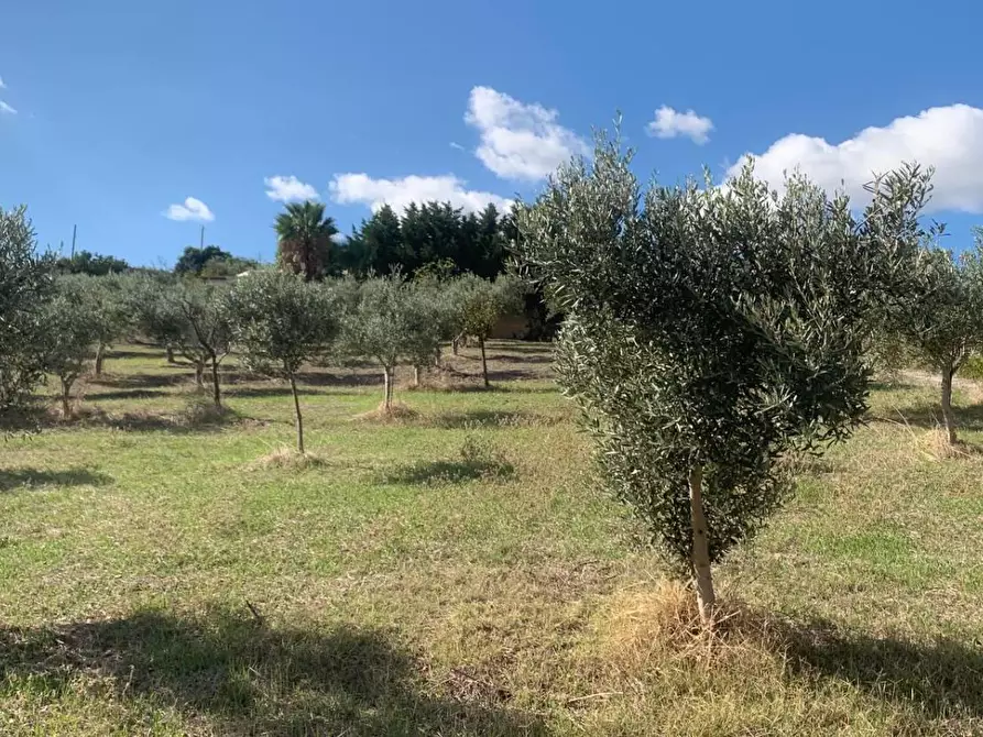 Immagine 5 di Casa indipendente in vendita  in VIA soria 110 a Valderice