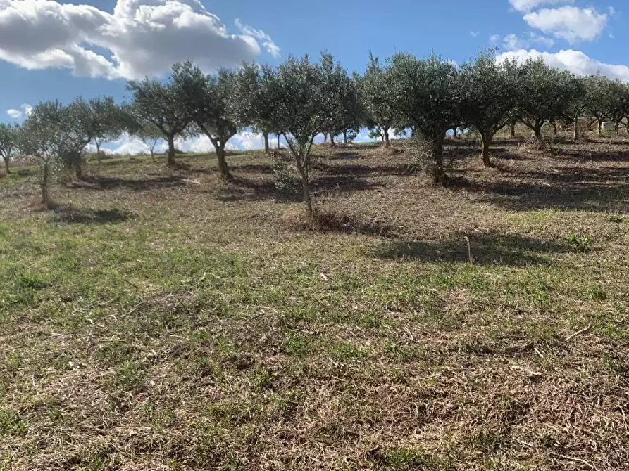 Immagine 6 di Casa indipendente in vendita  in VIA soria 110 a Valderice