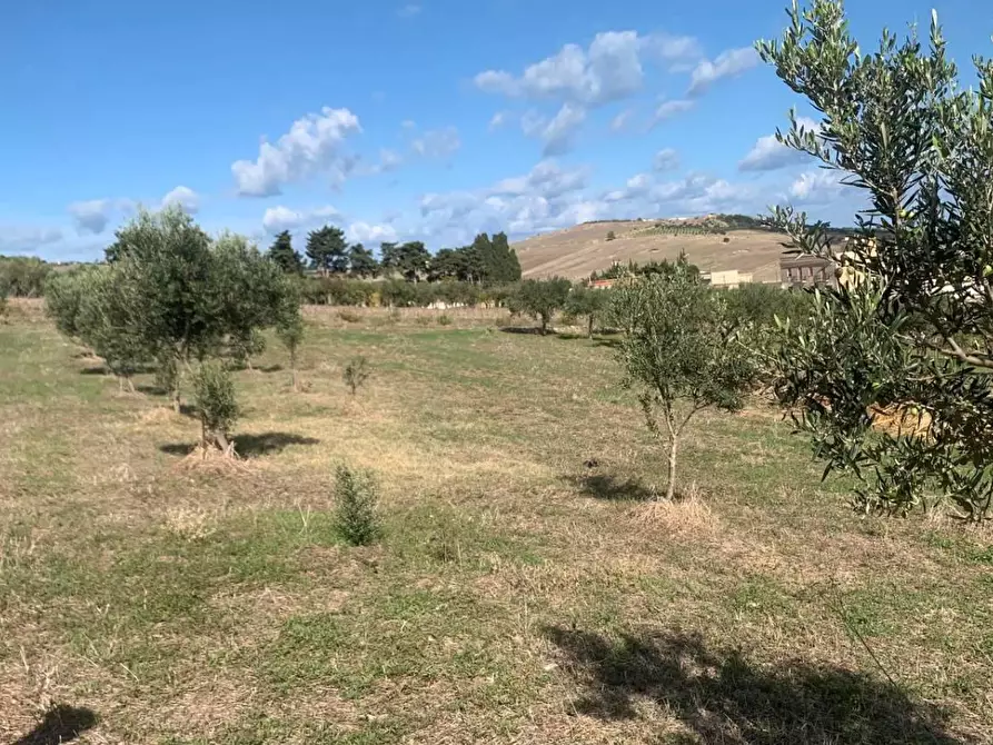 Immagine 7 di Casa indipendente in vendita  in VIA soria 110 a Valderice
