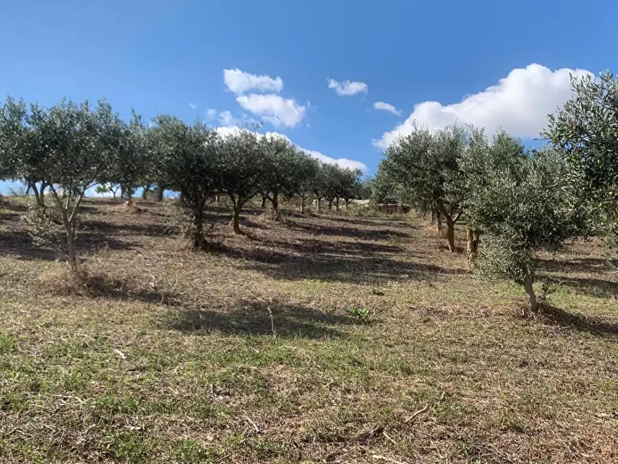 Immagine 8 di Casa indipendente in vendita  in VIA soria 110 a Valderice