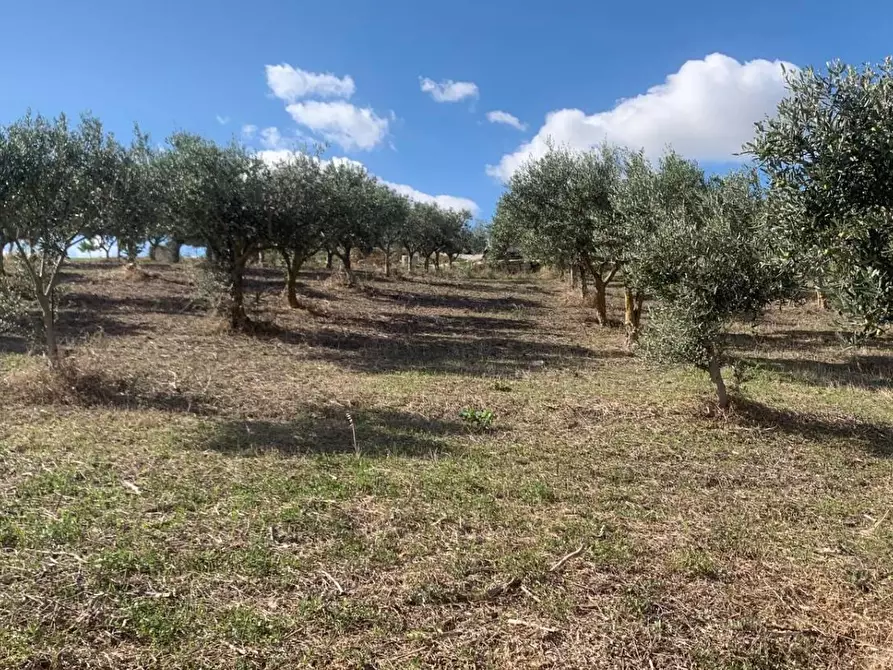 Immagine 9 di Casa indipendente in vendita  in VIA soria 110 a Valderice