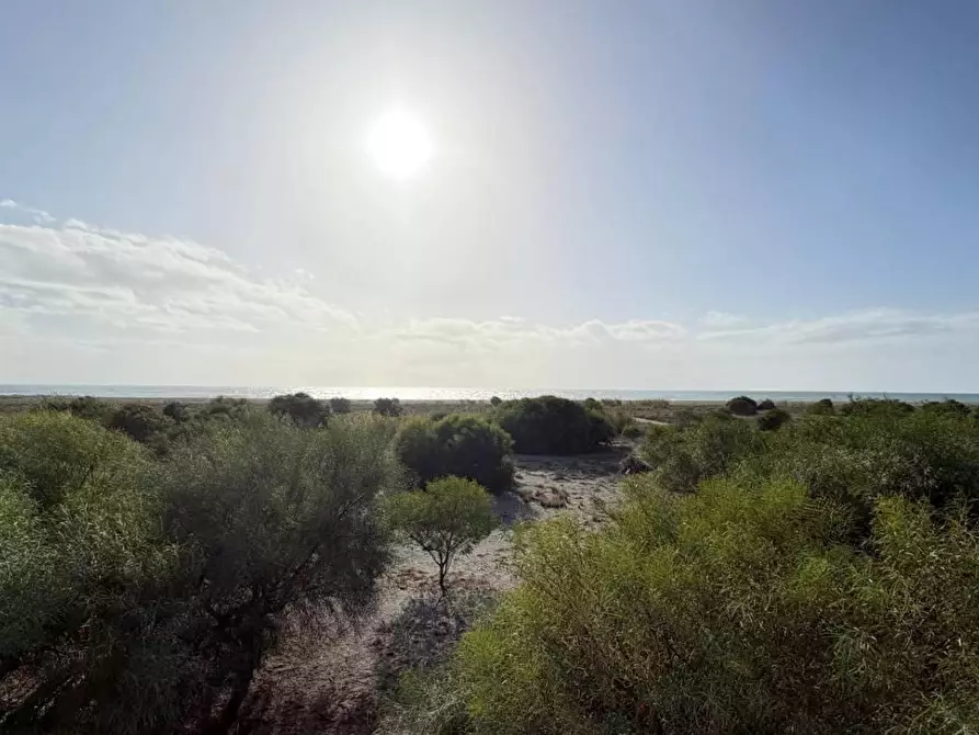 Immagine 10 di Appartamento in vendita  a Falerna