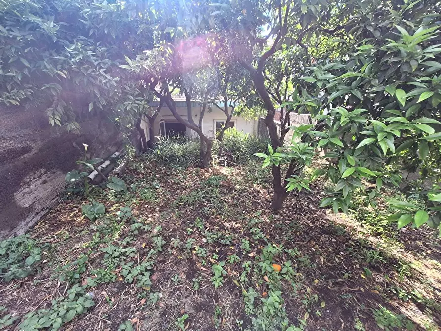 Immagine 21 di Casa indipendente in vendita  in PIAZZA san leopoldo a Aci Catena