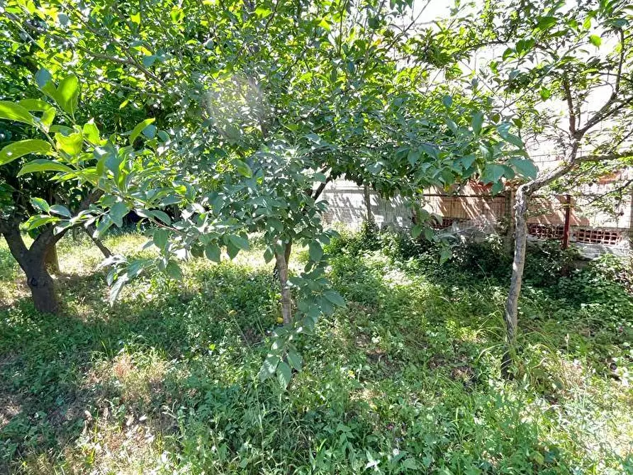 Immagine 6 di Casa indipendente in vendita  in VIA sciro a Lamezia Terme