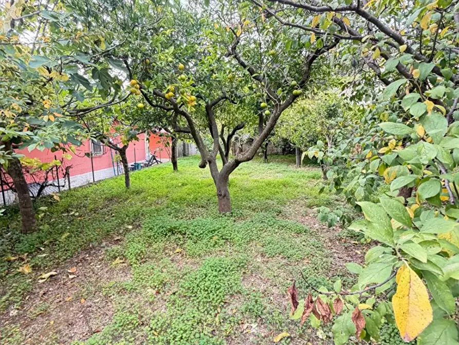 Immagine 7 di Casa indipendente in vendita  in VIA sciro a Lamezia Terme