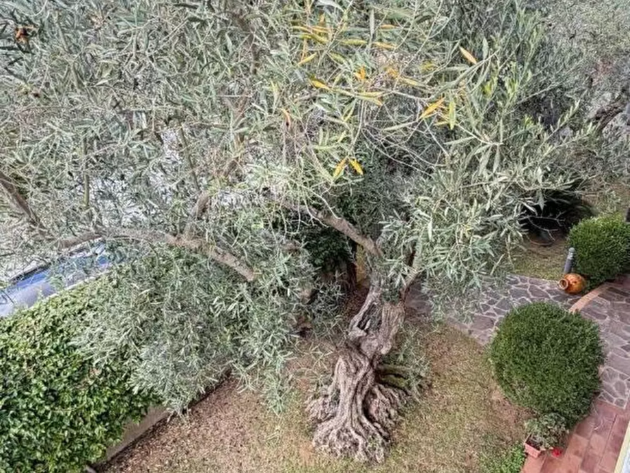 Immagine 11 di Villa in vendita  in VIA ferlaino a Pianopoli