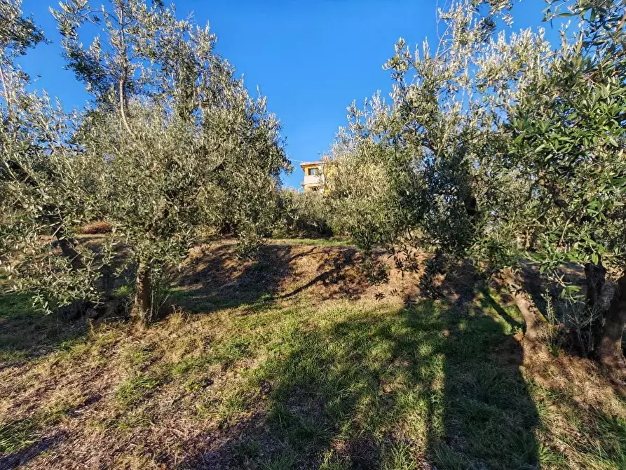Immagine 11 di Terreno residenziale in vendita  in VIA fonte becci a Lucignano