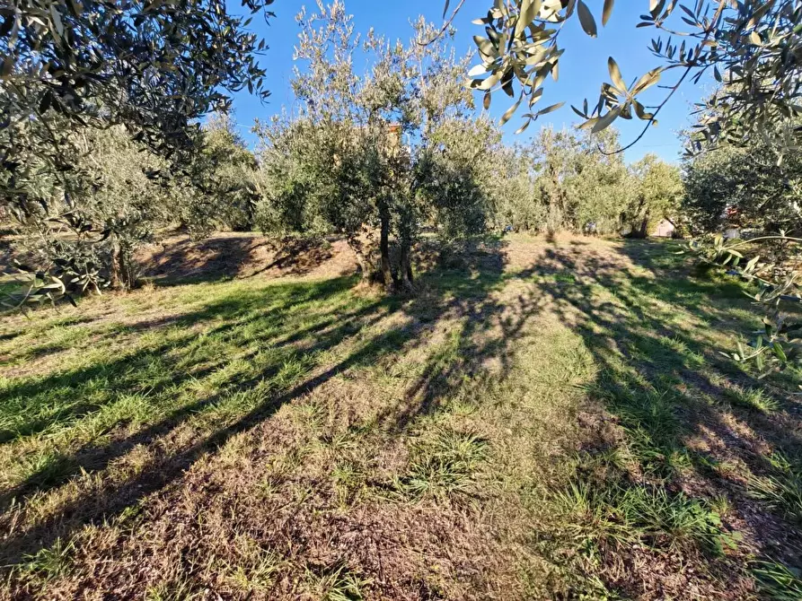 Immagine 12 di Terreno residenziale in vendita  in VIA fonte becci a Lucignano