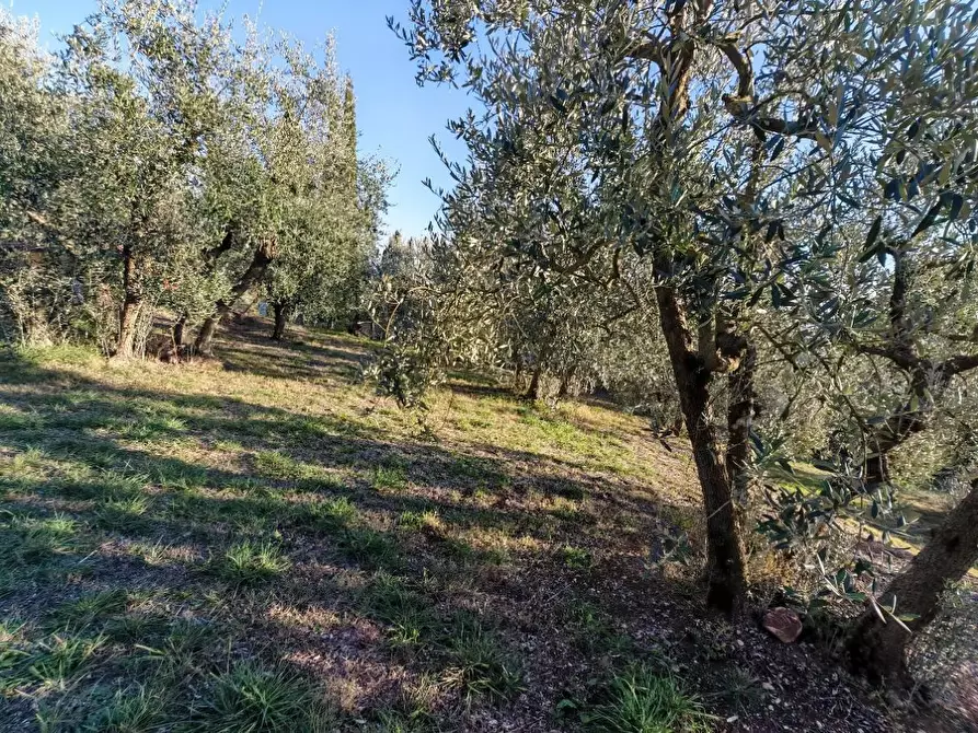 Immagine 3 di Terreno residenziale in vendita  in VIA fonte becci a Lucignano