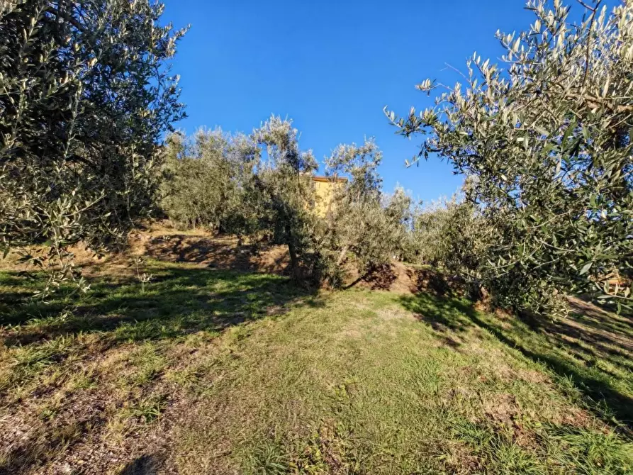 Immagine 5 di Terreno residenziale in vendita  in VIA fonte becci a Lucignano