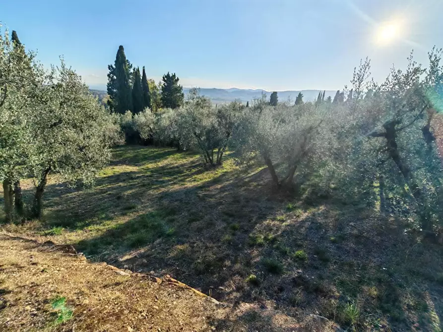 Immagine 8 di Terreno residenziale in vendita  in VIA fonte becci a Lucignano