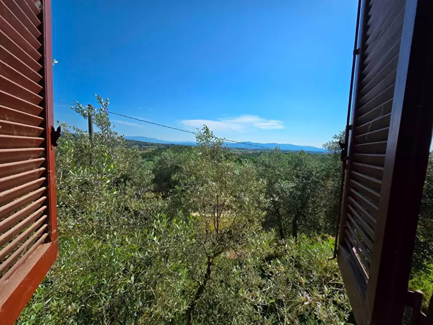 Immagine 22 di Casa trifamiliare in vendita  in LOCALITA'rigo a Monte San Savino