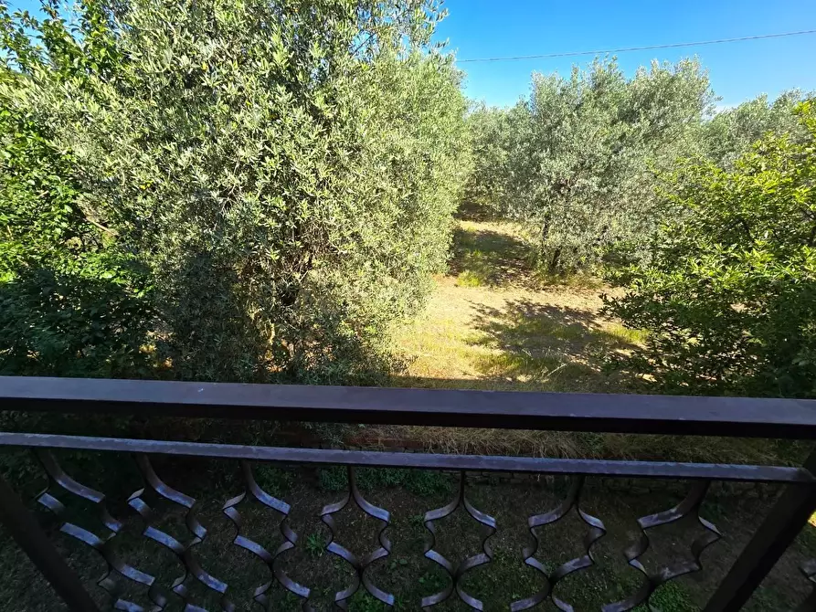 Immagine 23 di Casa trifamiliare in vendita  in LOCALITA'rigo a Monte San Savino