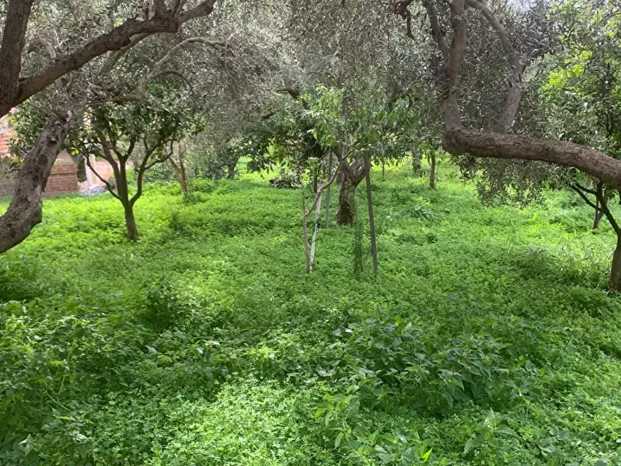 Immagine 2 di Casa bifamiliare in vendita  in VIALE degli ulivi a Misilmeri