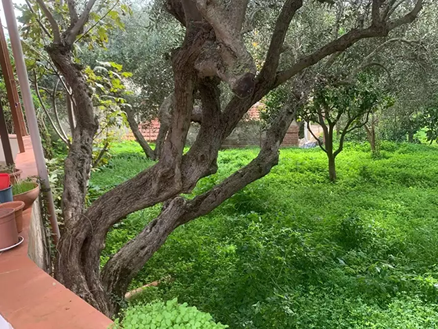 Immagine 4 di Casa bifamiliare in vendita  in VIALE degli ulivi a Misilmeri