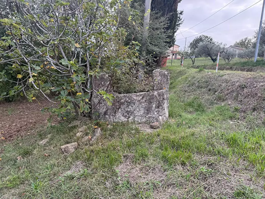 Immagine 13 di Rustico / casale in vendita  in VIA capograssi a Altavilla Silentina