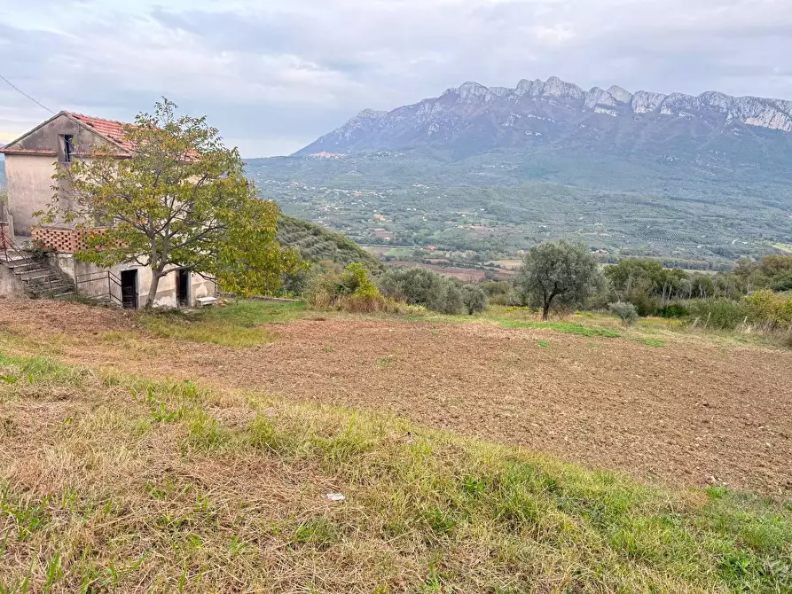 Immagine 2 di Rustico / casale in vendita  in VIA capograssi a Altavilla Silentina