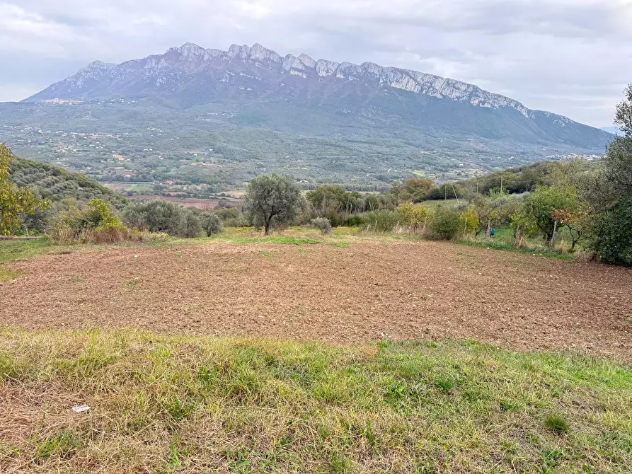 Immagine 3 di Rustico / casale in vendita  in VIA capograssi a Altavilla Silentina
