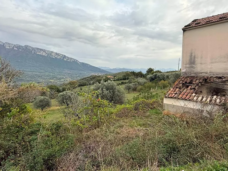 Immagine 9 di Rustico / casale in vendita  in VIA capograssi a Altavilla Silentina