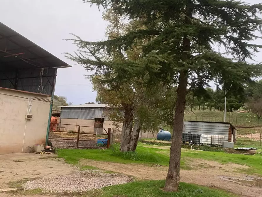 Immagine 19 di Villa in vendita  in CONTRADA rezza a Santa Cristina Gela