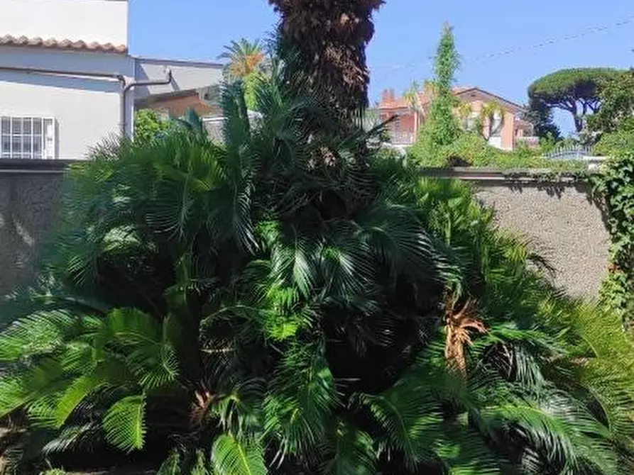 Immagine 11 di Villa in vendita  in VIA tevere a Anzio