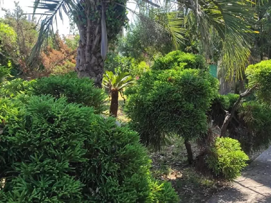 Immagine 9 di Villa in vendita  in VIA tevere a Anzio