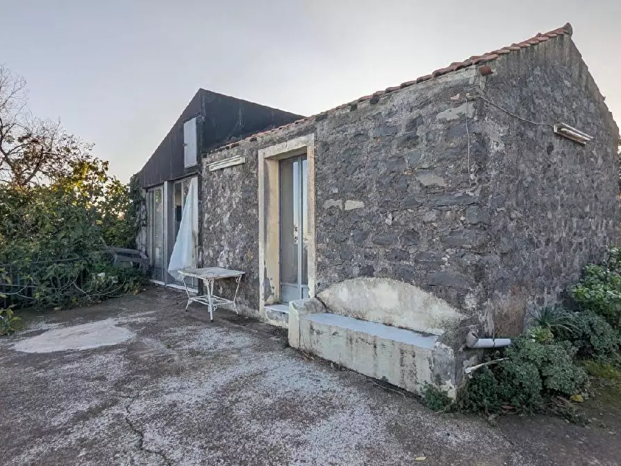 Immagine 8 di Terreno agricolo in vendita  in VIA marchesana a Aci Sant'antonio