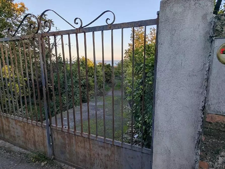 Immagine 9 di Terreno agricolo in vendita  in VIA marchesana a Aci Sant'antonio