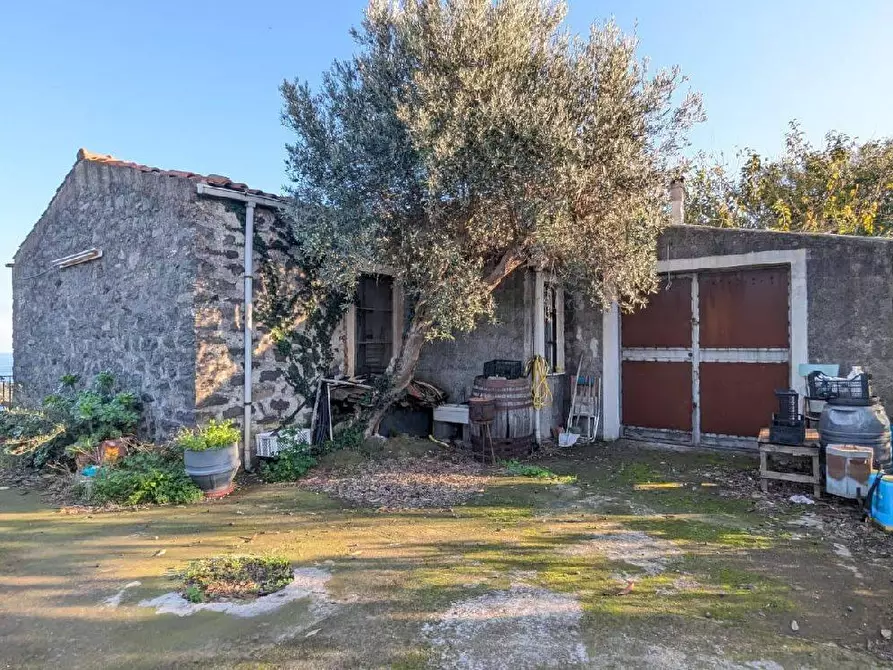 Immagine 11 di Terreno agricolo in vendita  in VIA marchesana a Aci Sant'antonio