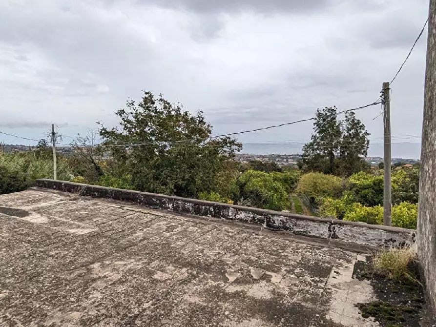 Immagine 12 di Terreno agricolo in vendita  in VIA marchesana a Aci Sant'antonio