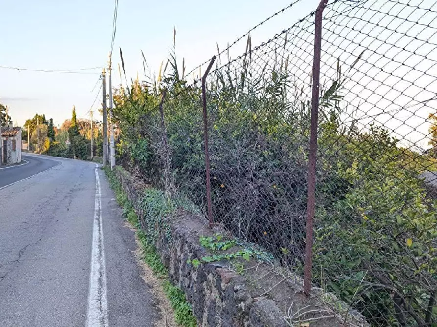 Immagine 13 di Terreno agricolo in vendita  in VIA marchesana a Aci Sant'antonio
