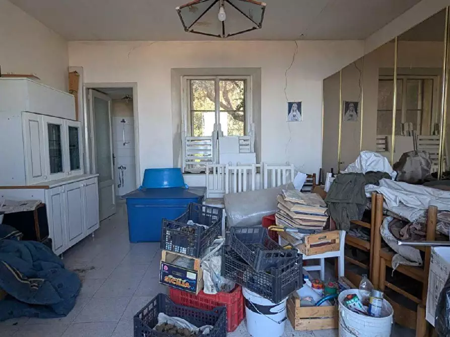 Immagine 5 di Terreno agricolo in vendita  in VIA marchesana a Aci Sant'antonio