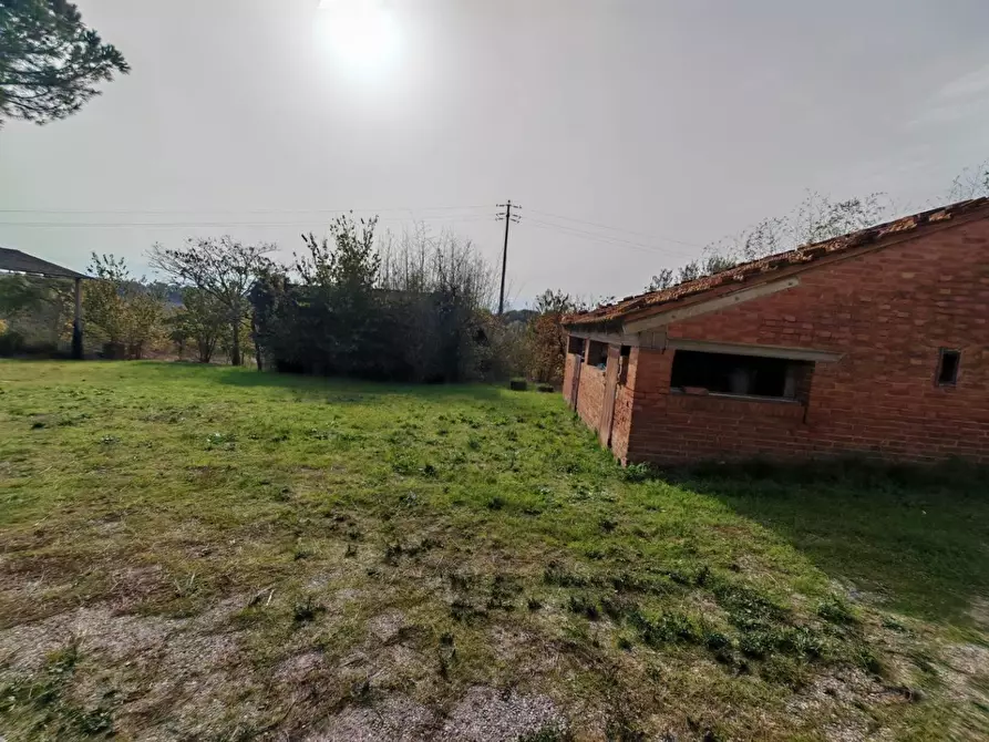 Immagine 11 di Casa semindipendente in vendita  in VIA di lucignano a Foiano Della Chiana
