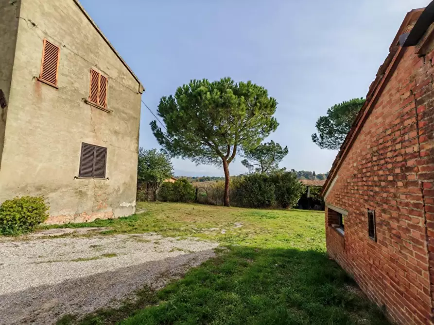 Immagine 12 di Casa semindipendente in vendita  in VIA di lucignano a Foiano Della Chiana