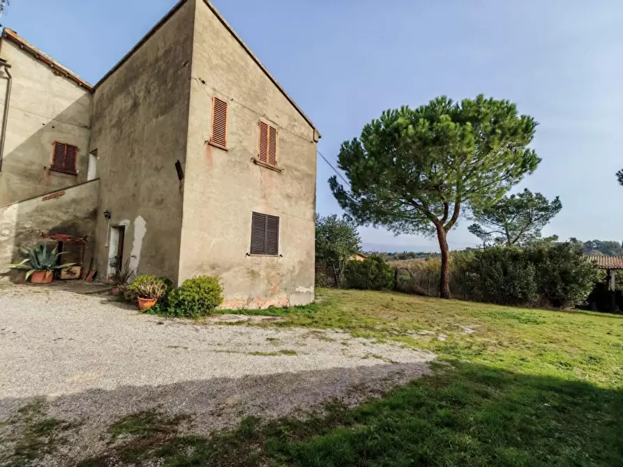 Immagine 13 di Casa semindipendente in vendita  in VIA di lucignano a Foiano Della Chiana