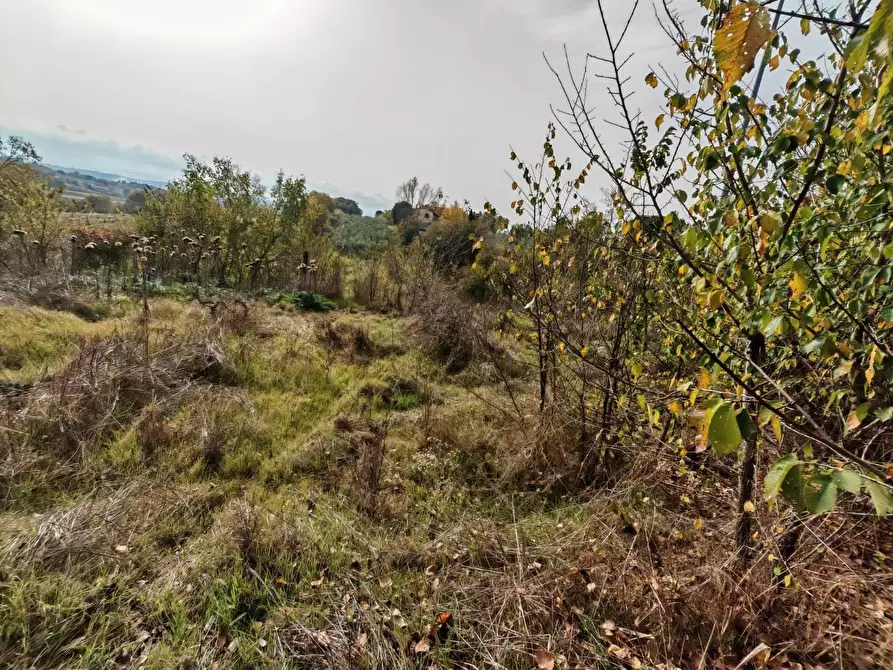 Immagine 18 di Casa semindipendente in vendita  in VIA di lucignano a Foiano Della Chiana